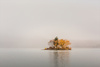 Island In The Lake by Shona Kebble, APSNZ
