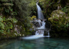 Avalanche Creek Water Falls by Yan Yuan