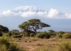 Mount Kilimanharo by Nicholas Munnings