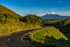 Road to Taranaki by Rodney Donaldson, Lpsnz