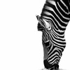 Zebra by Carole Garside, LPSNZ