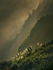 Bethells Breath by Kevin Riley