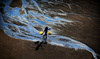 Along the Beach by Y Yuan, LPSNZ