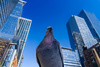 Pigeon Looking Down by Ilan Wittenberg, FNZIPP, FPSNZ