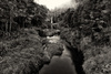 Hunua Falls by Ilan Wittenberg, FNZIPP, FPSNZ