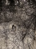 Lost in moment of time  by Karen Douglas