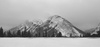 Canadian Winter by Karen Kendall-Jarvis