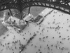 Parisian Ants by Raywin Markwell