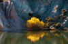 Blue Lake Autumn by Laurie Williams