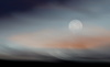 Moonrise by Barbara Lee, APSNZ