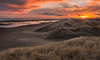 Sunset Over the Dunes by Jill Cliffe, APSNZ