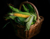 Corn Cobs by Noeline Ganderton