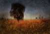 Barley Fields by Robin Short, APSNZ