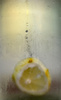 A Slice of Lemon by Jan Bellamy, LPSNZ