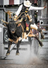 Flying Bull by Jennifer Simone, LPSNZ