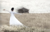 Bride Dance by Noline Skeet