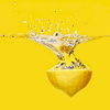 Lemon Splash by Helena Gratkowski