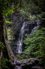 Matai Falls by Joanne McLeary