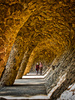 Gaudi's Promenade by Joan Caulfield, LPSNZ