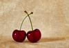 Red Cherries by Elizabeth Passuello, FPSNZ FNPSNZ GMAPS EFIAP EPSA