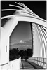 Te Rewa Rewa Bridge by Marie Bilodeau, LPSNZ