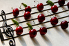 Cherries & Liquorice by Jill Jackson, APSNZ