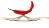 C Is for Chilli by Carolyn Elcock, ANPSNZ