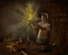 The Alchemist's Apprentice by kim Falconer, APSNZ