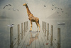 The Giraffe by Alison Denyer, LPSNZ