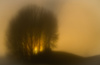 Misty Morning by John Ford