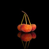 Fruit of the Strawberry Tree by Dawn Kirk, LPSNZ AFIAP